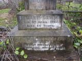 image of grave number 234888